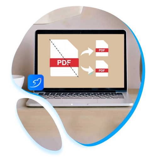 PDF Splitter Software